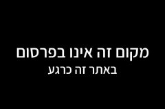 וילה בן עמי
